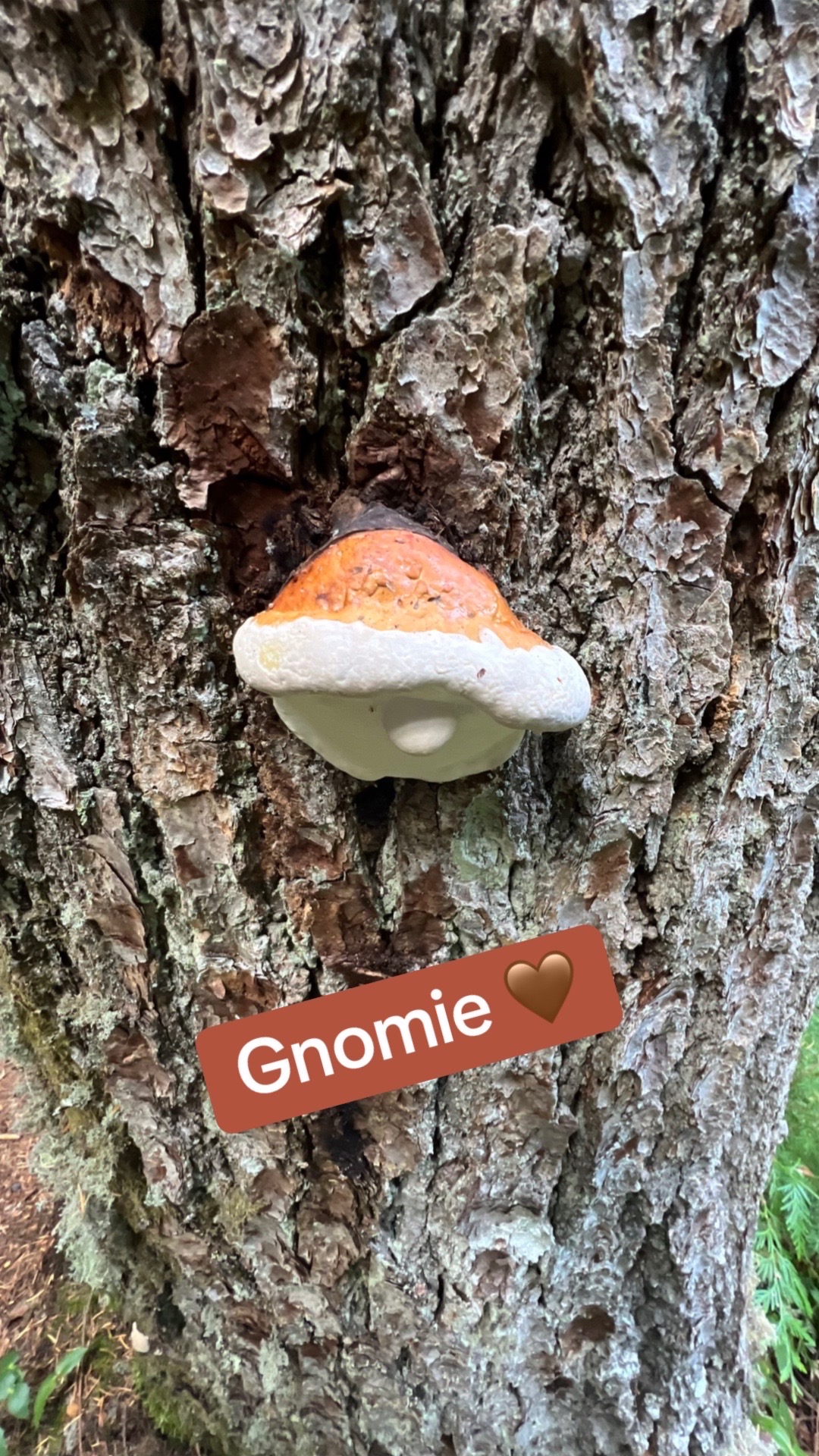 @momstines
