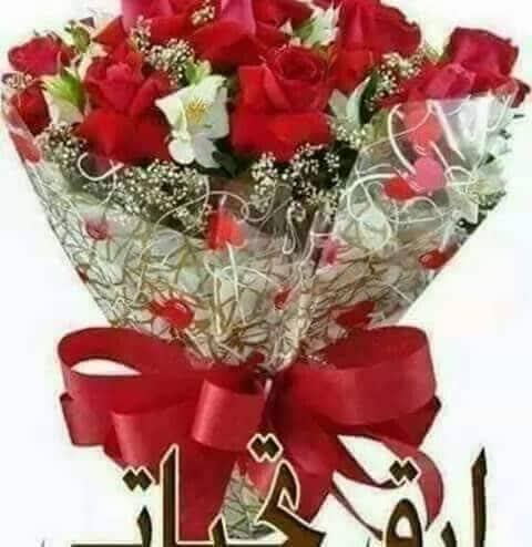@ansari
