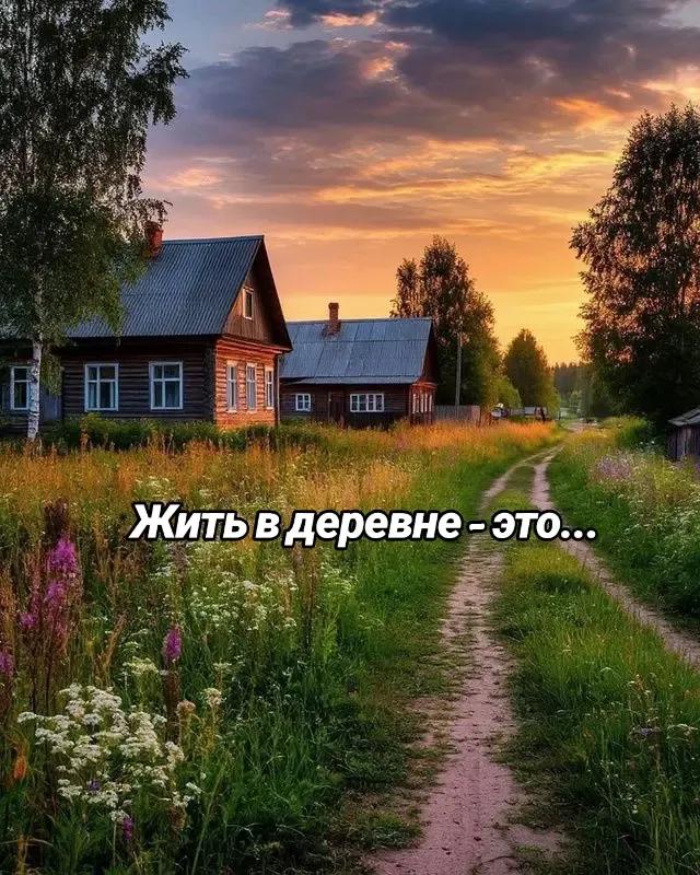 @🤍Ода Денчик🤍