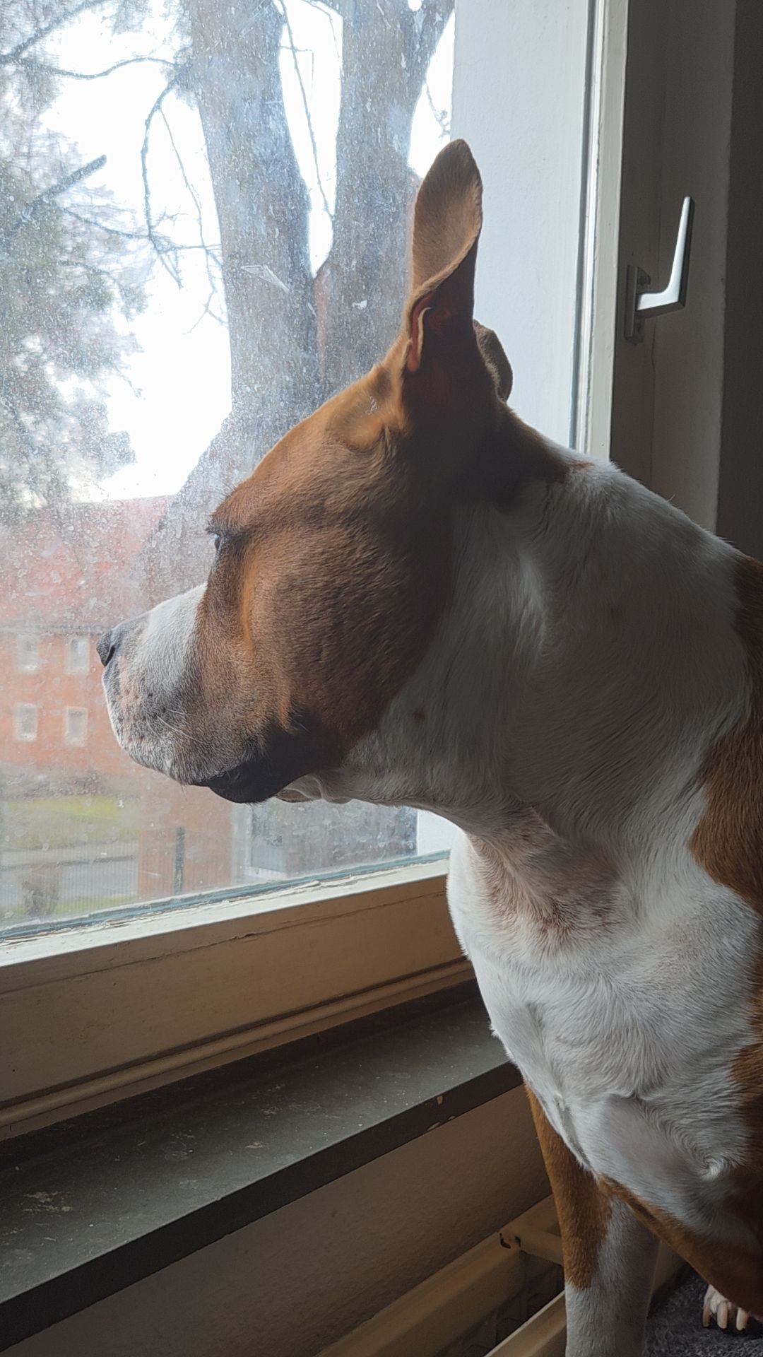 @Mailymaus2018
