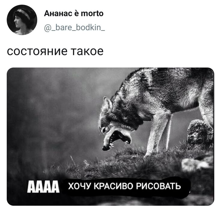 @QUIDJI