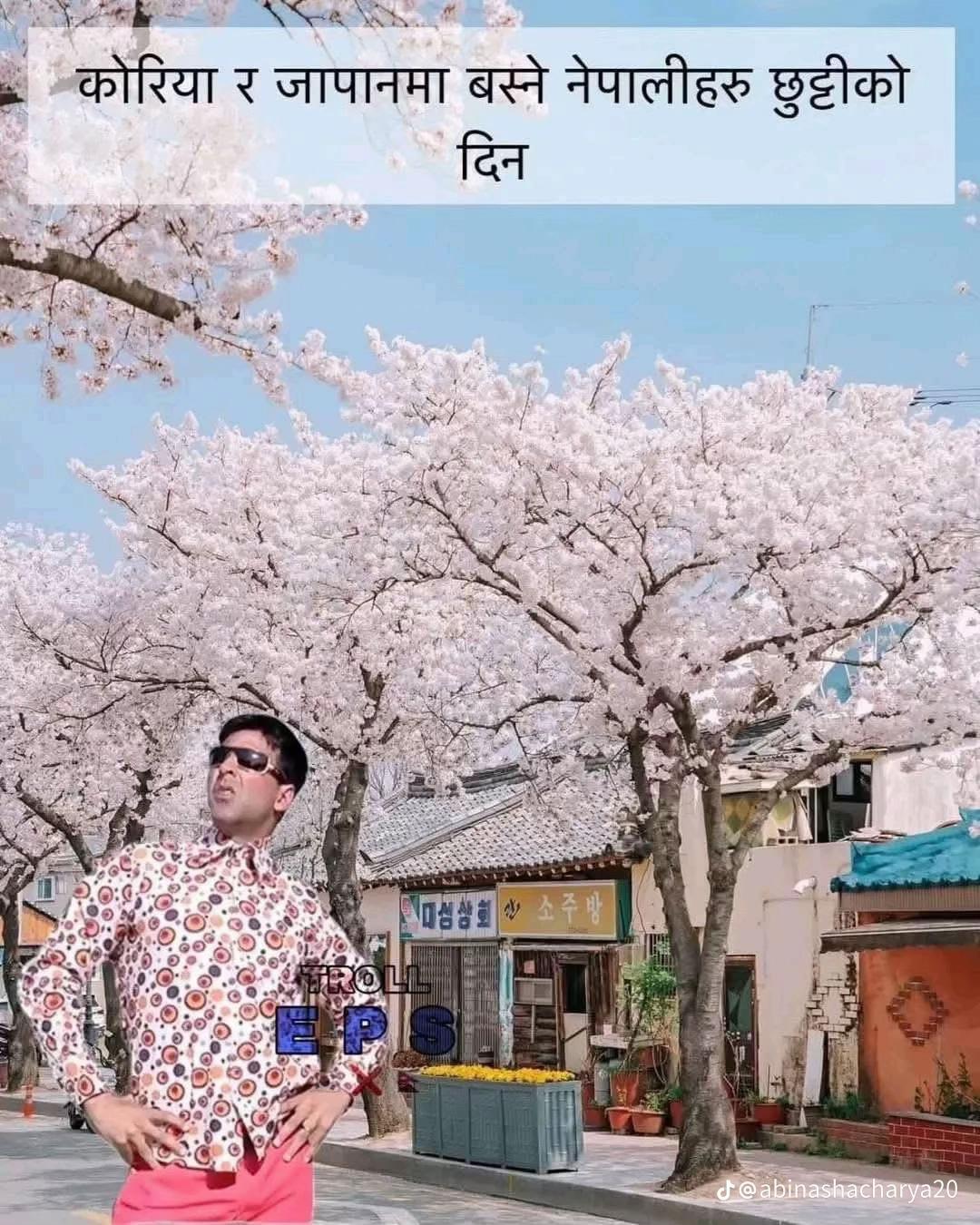 @🐯MANISHA🤲👻