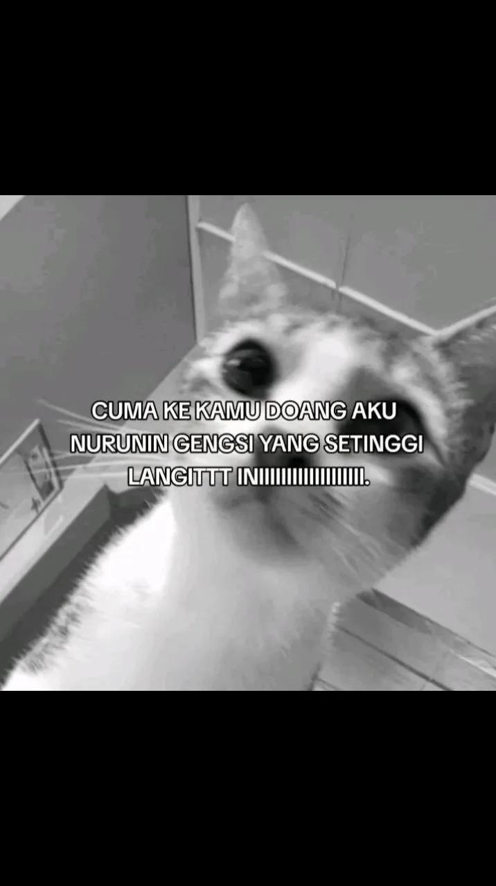 @cuwqies