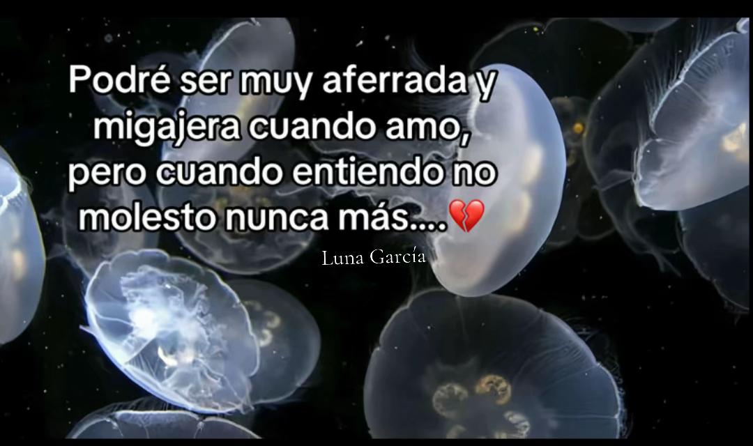 @Luna Garc&iacute;a oficial 🌙✨