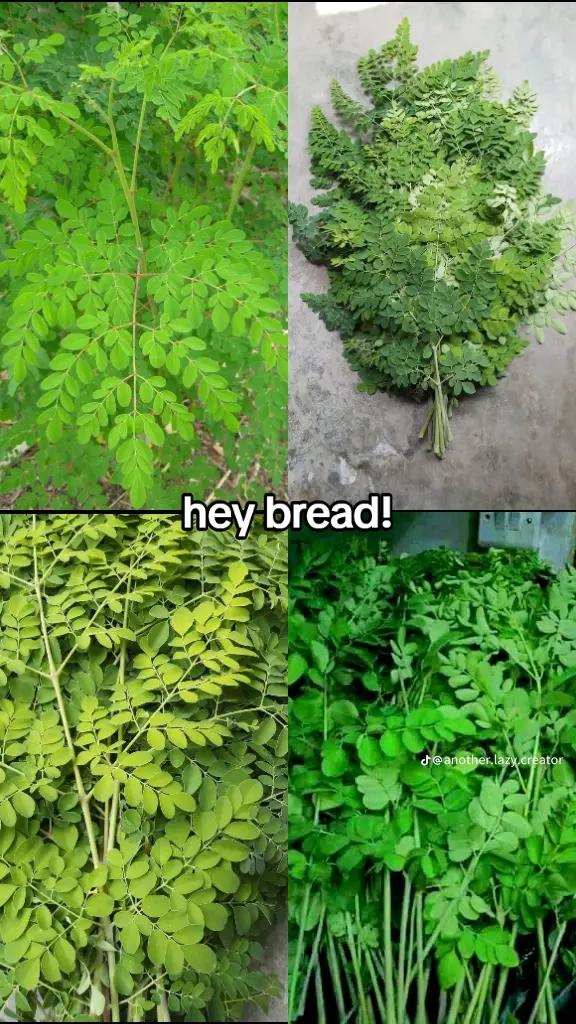 @ActuallynotJacob