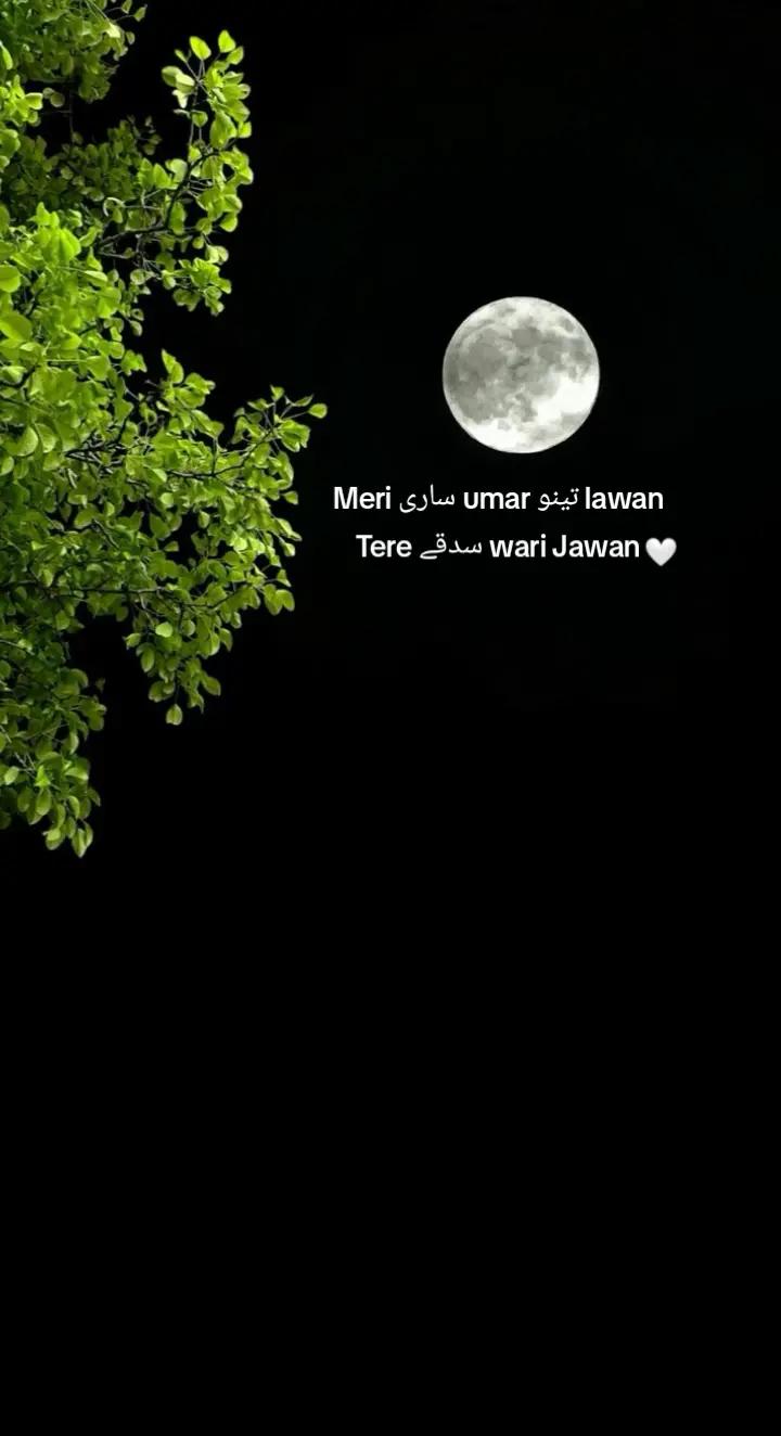 @م🦋