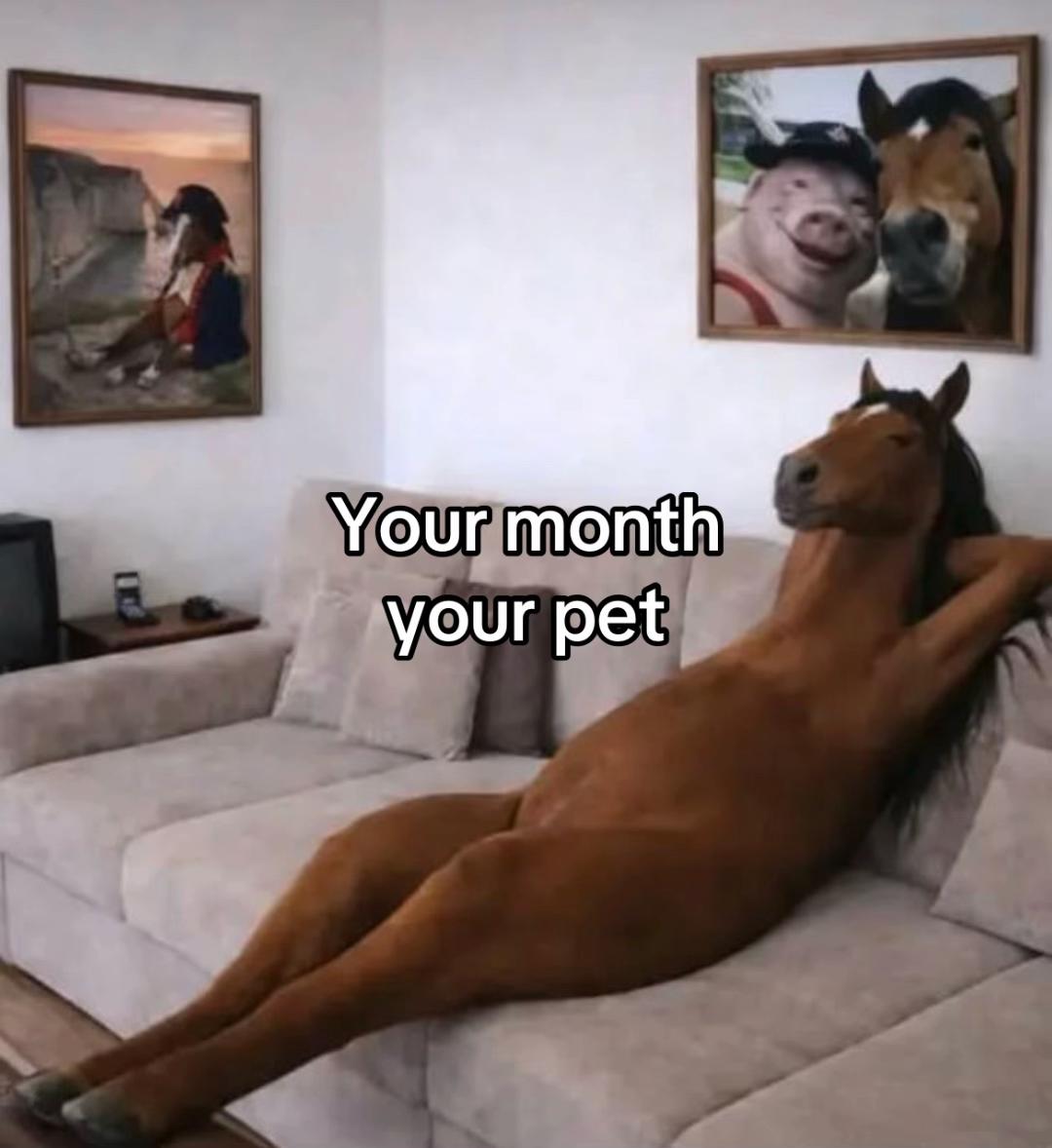 @secretlifeofsomeone