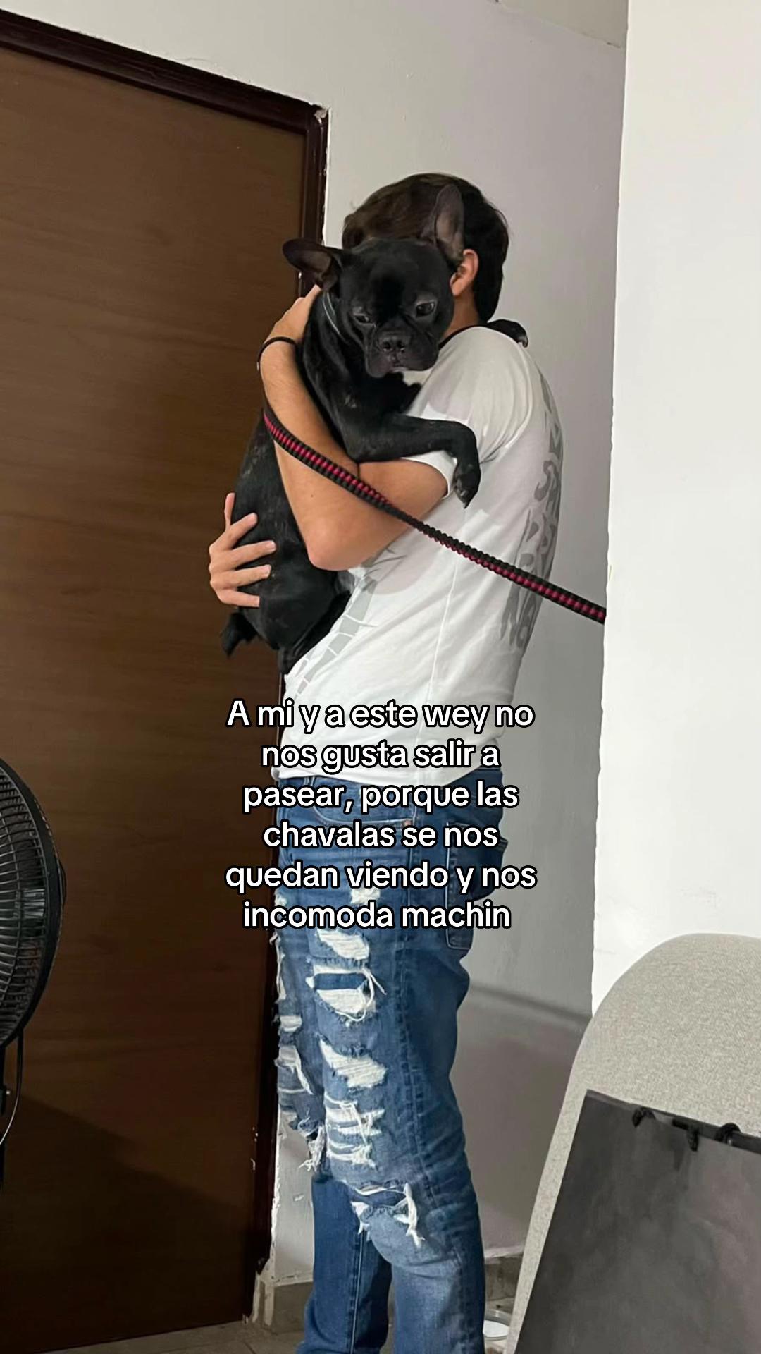 @portillo.80