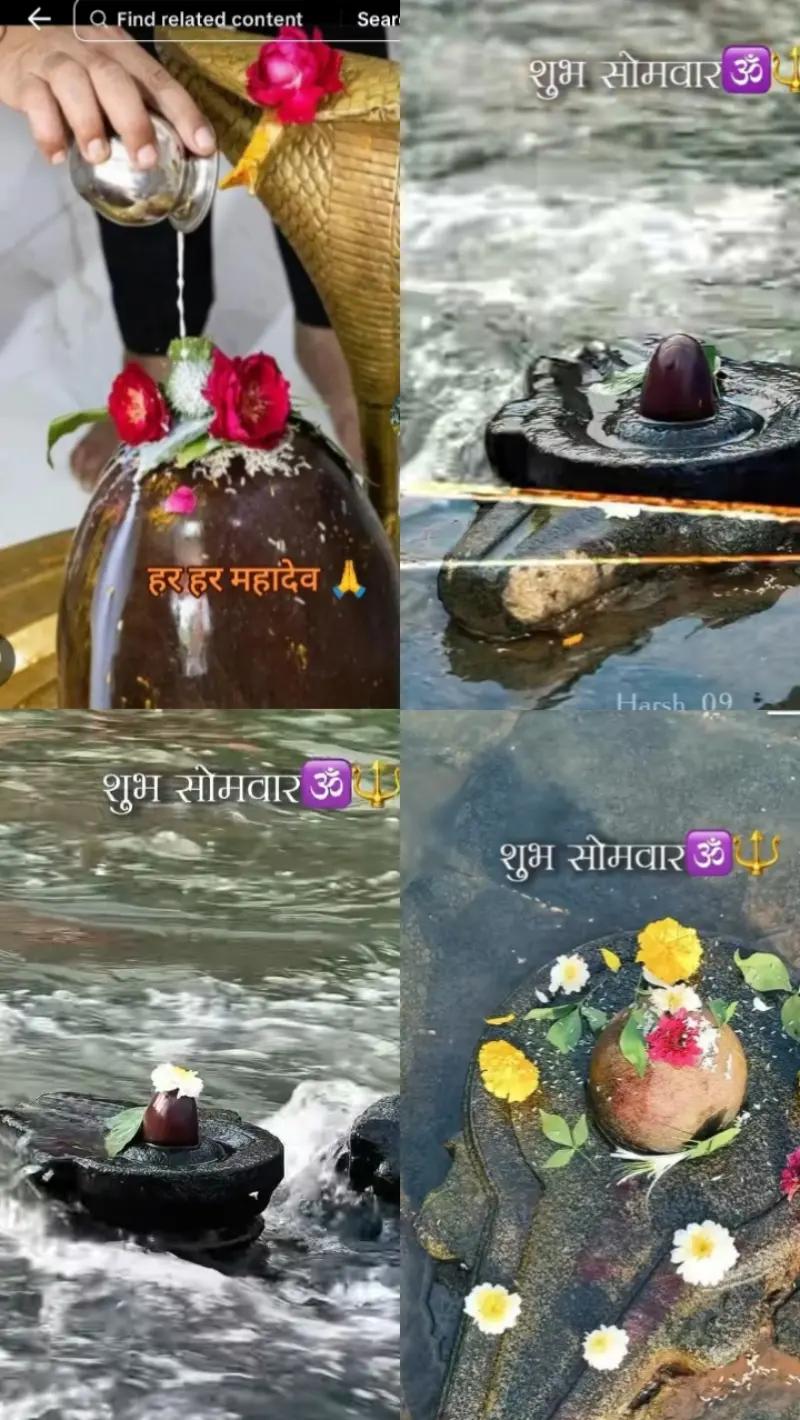 @Maya Pandey