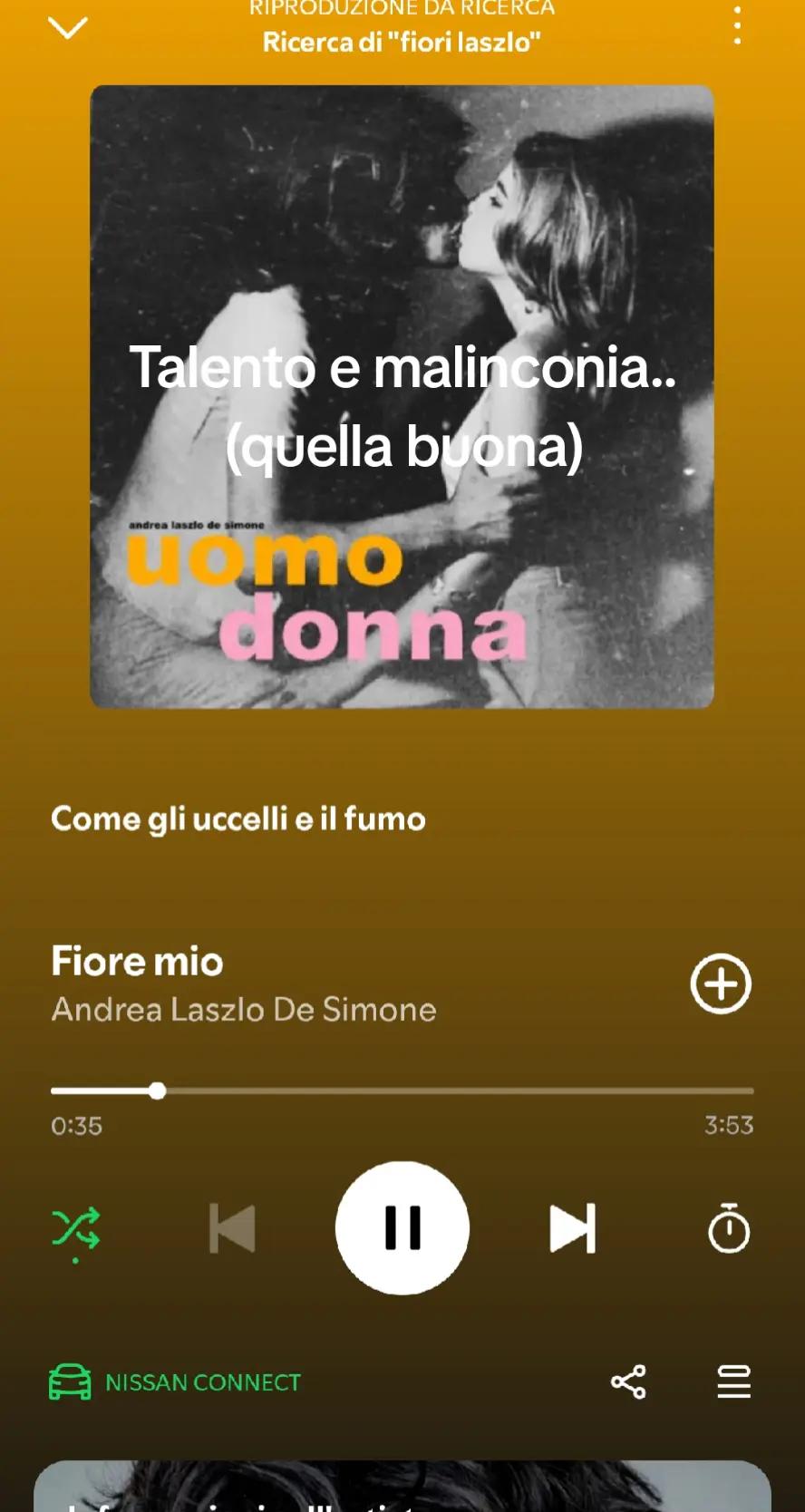@Steve_mkok✨