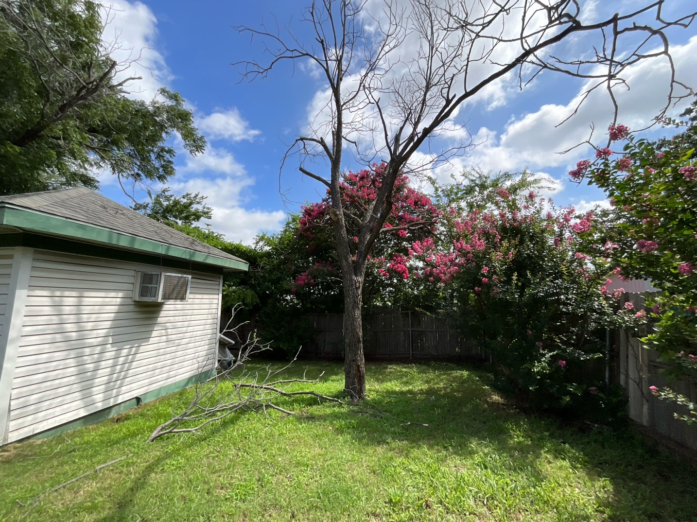 @Live Oak Tree Service
