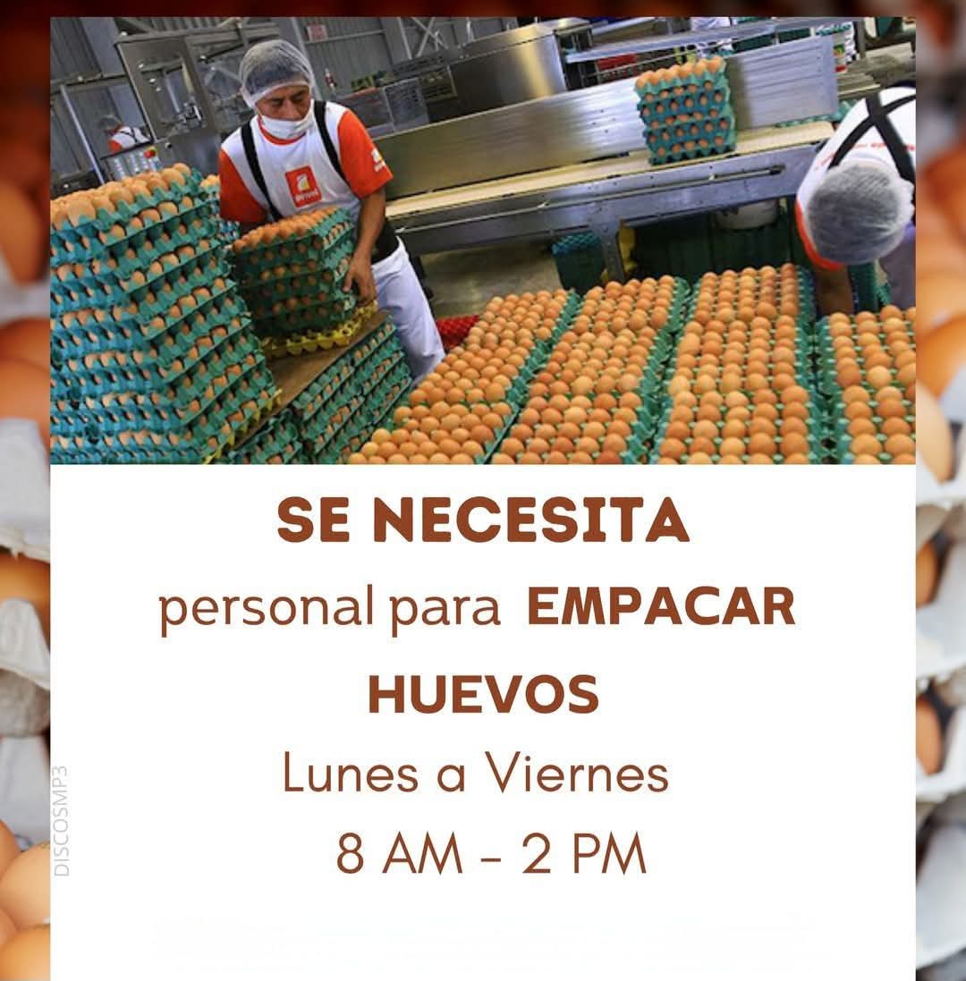 @trabajo si hay✅️