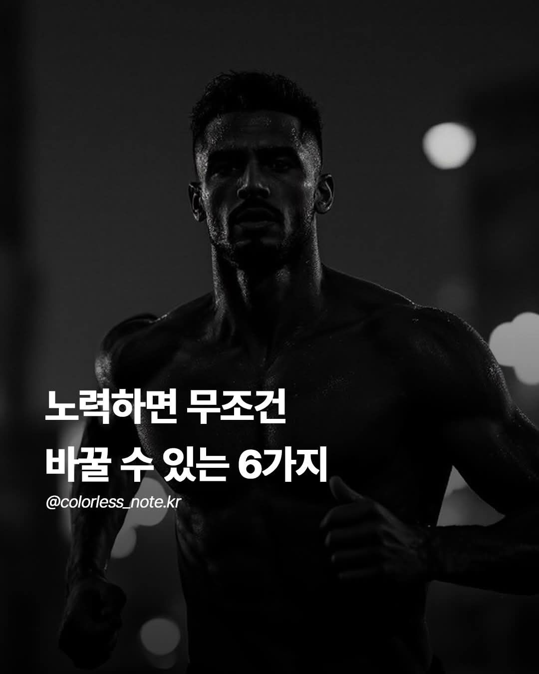 @@냥이글