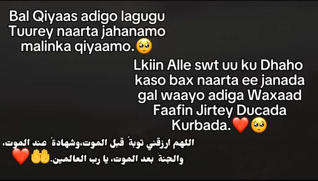 @😍F4RH44D🖤