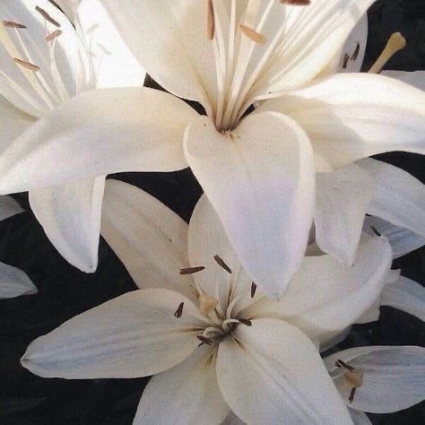 @' 𝓓ianna⚡️ ?? '