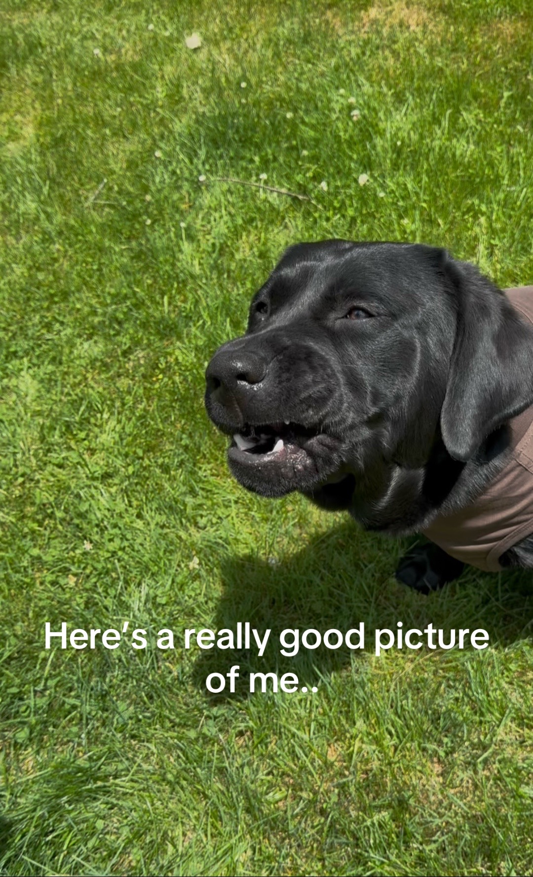 @DennisTheBlackLab