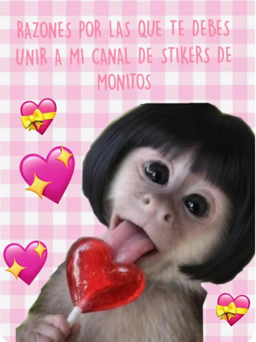 @ℙ𝕣𝕚𝕤𝕔𝕚𝕝𝕒🥰❤️🙉🙈🍌