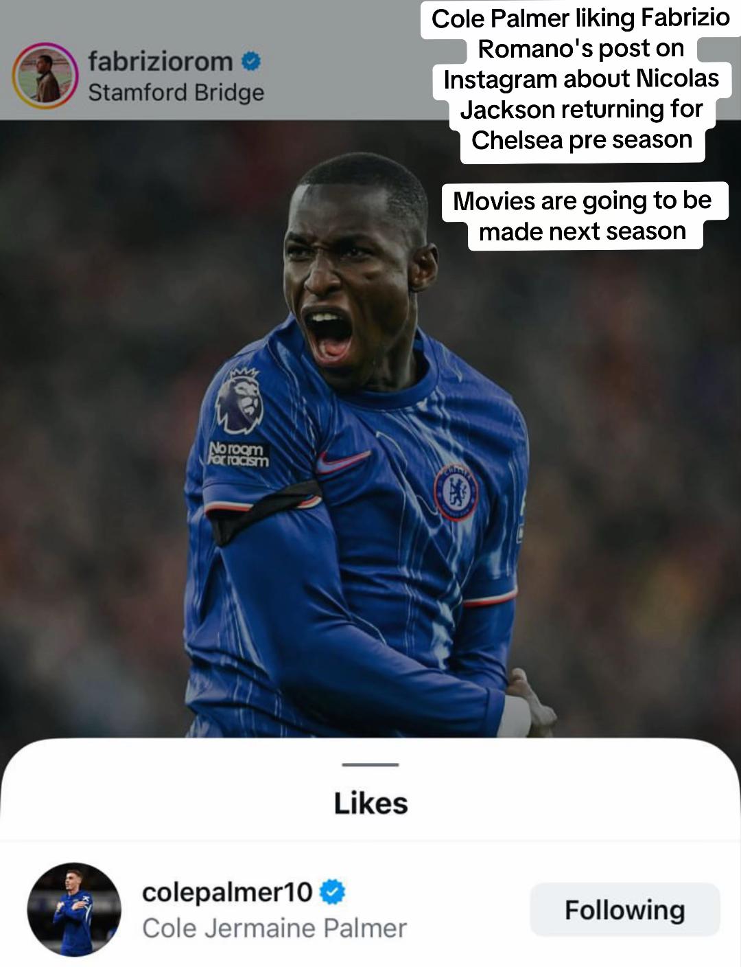 @Chelsea Leads