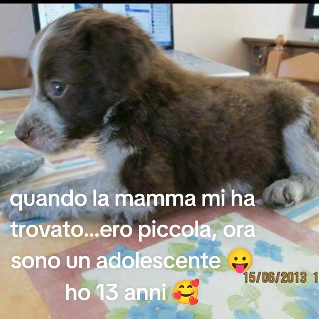 @Sharisse