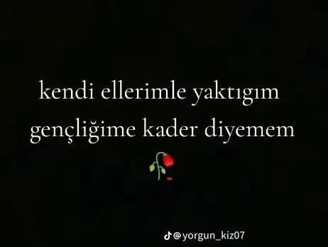 @Mustafa_kaya