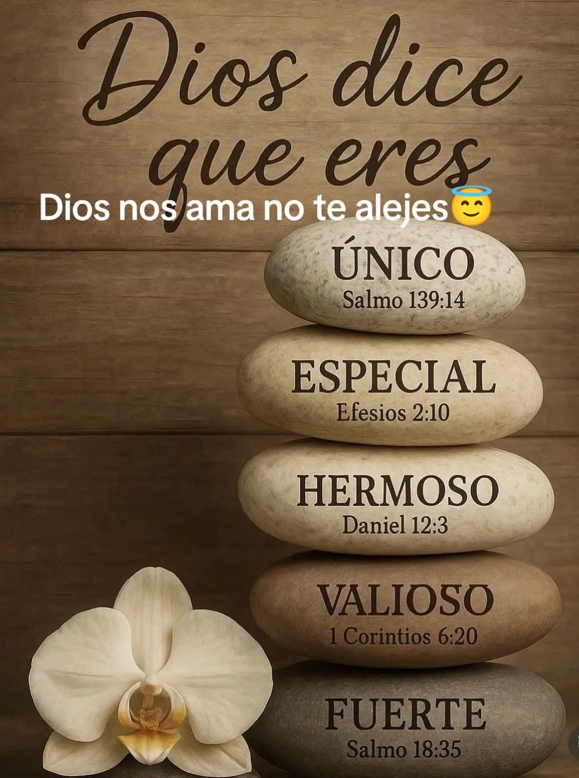 @luzmila 7❤️🇧🇴🤍