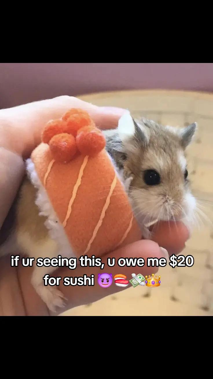 @angelyexxe 🤍🍣👻