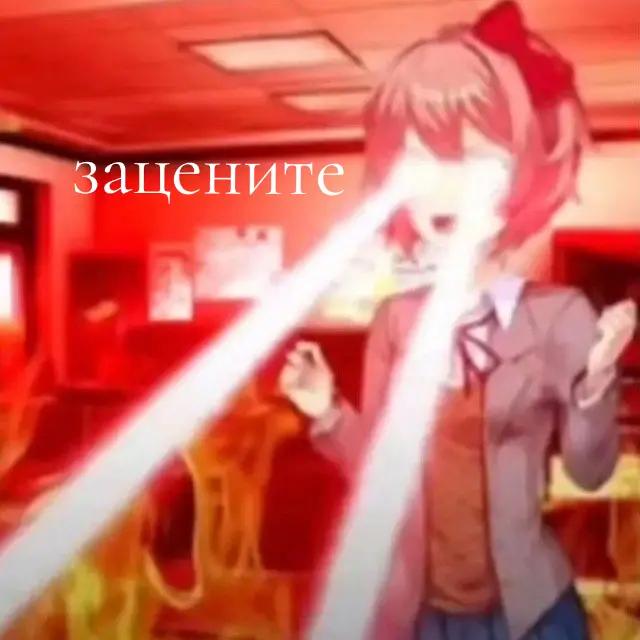 @kvASS2558