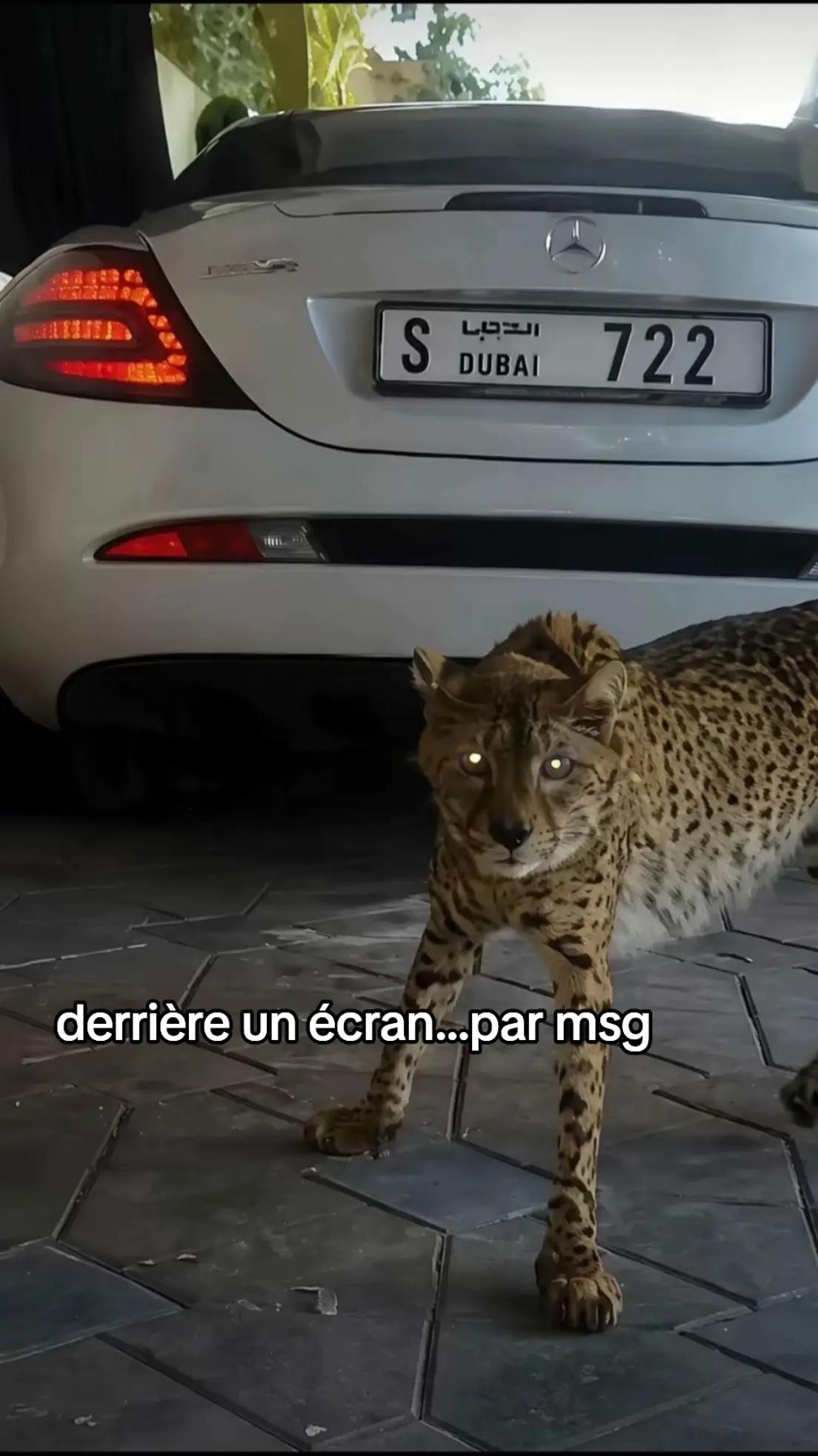 @pierre_mtrd