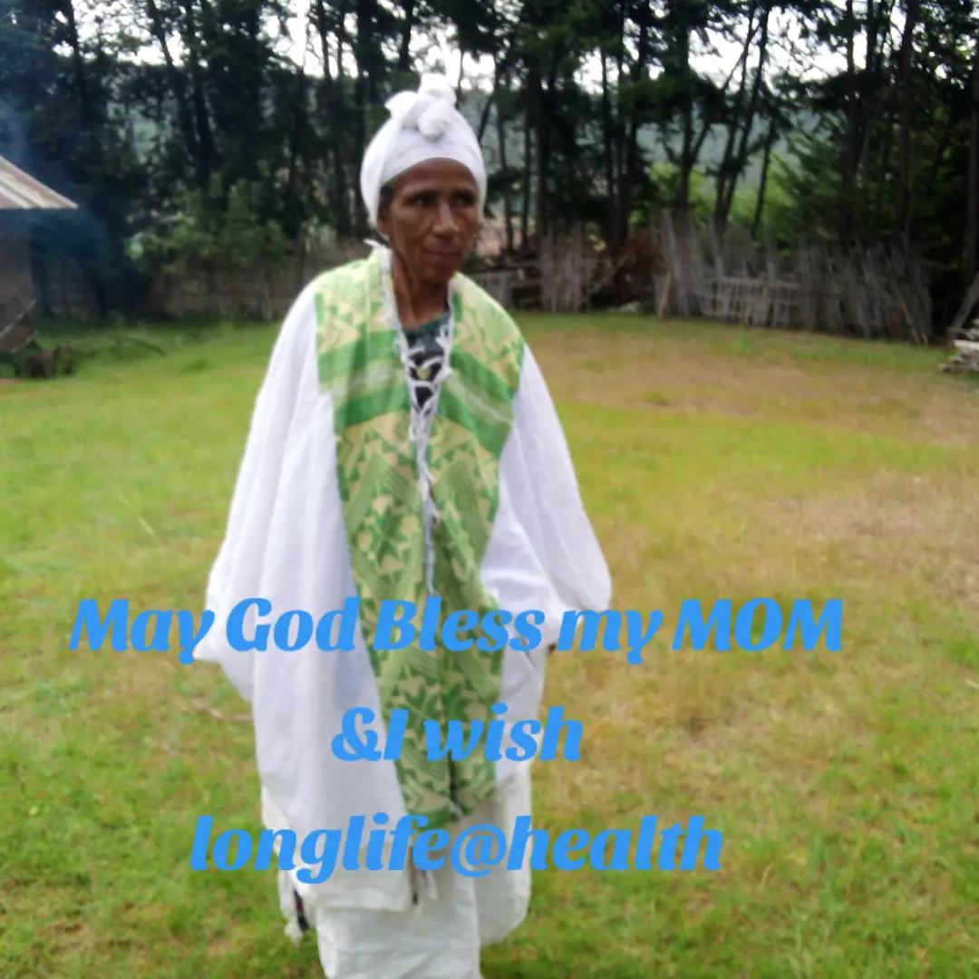 @desta daniel creator.search.in