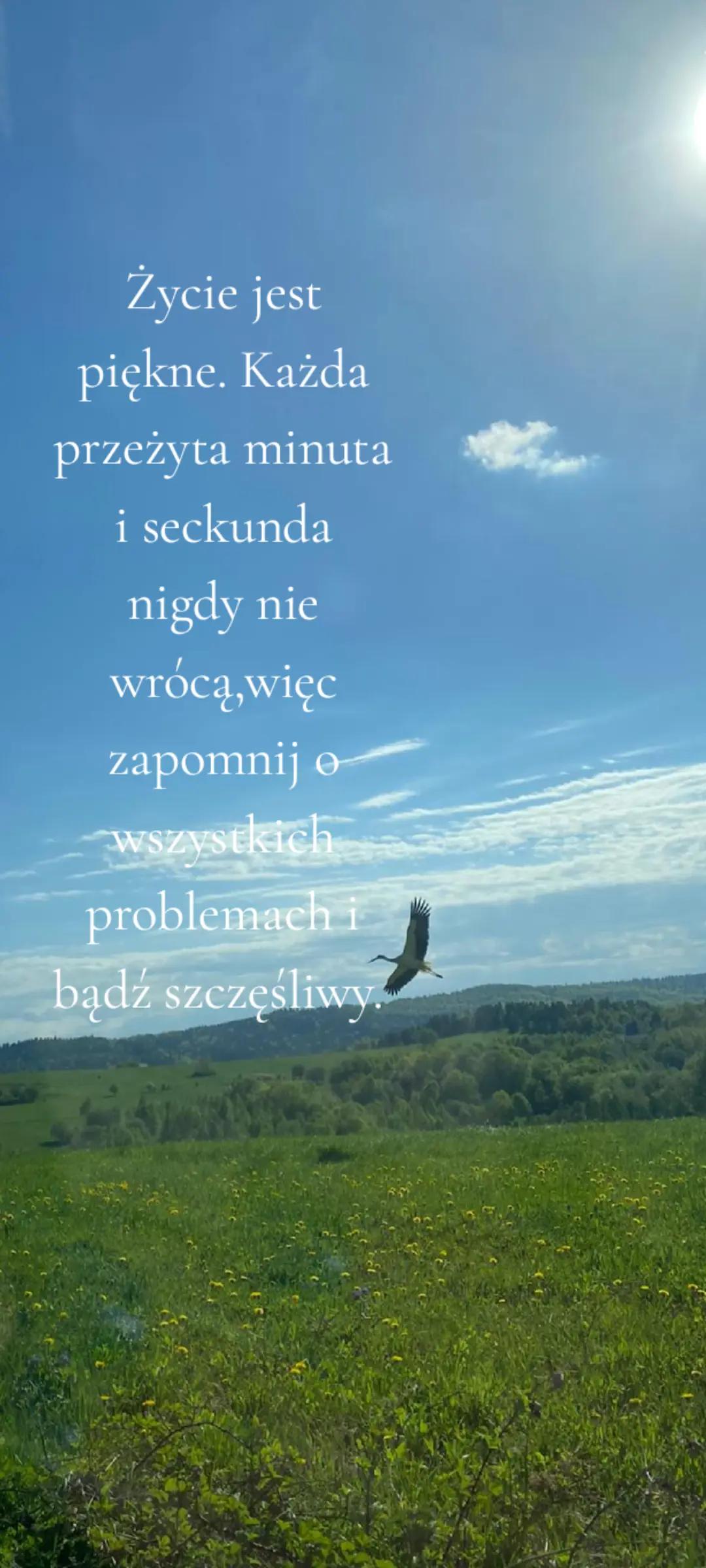 @mariolanu0