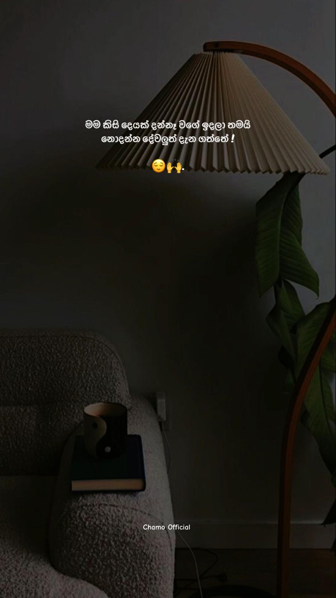 @< 𝐂𝐡𝐚𝐦𝐨 ᥫ᭡