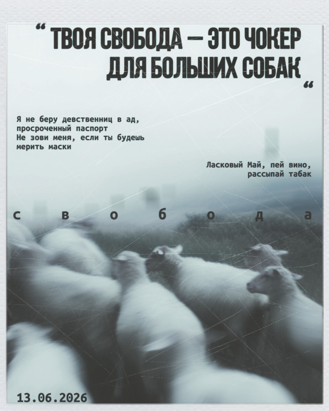 @лиза амене