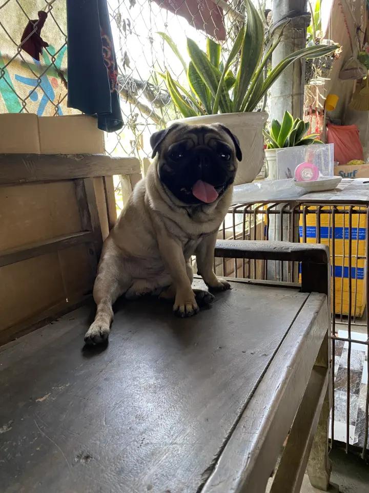 @Hãy làm điều mình thích!🥰