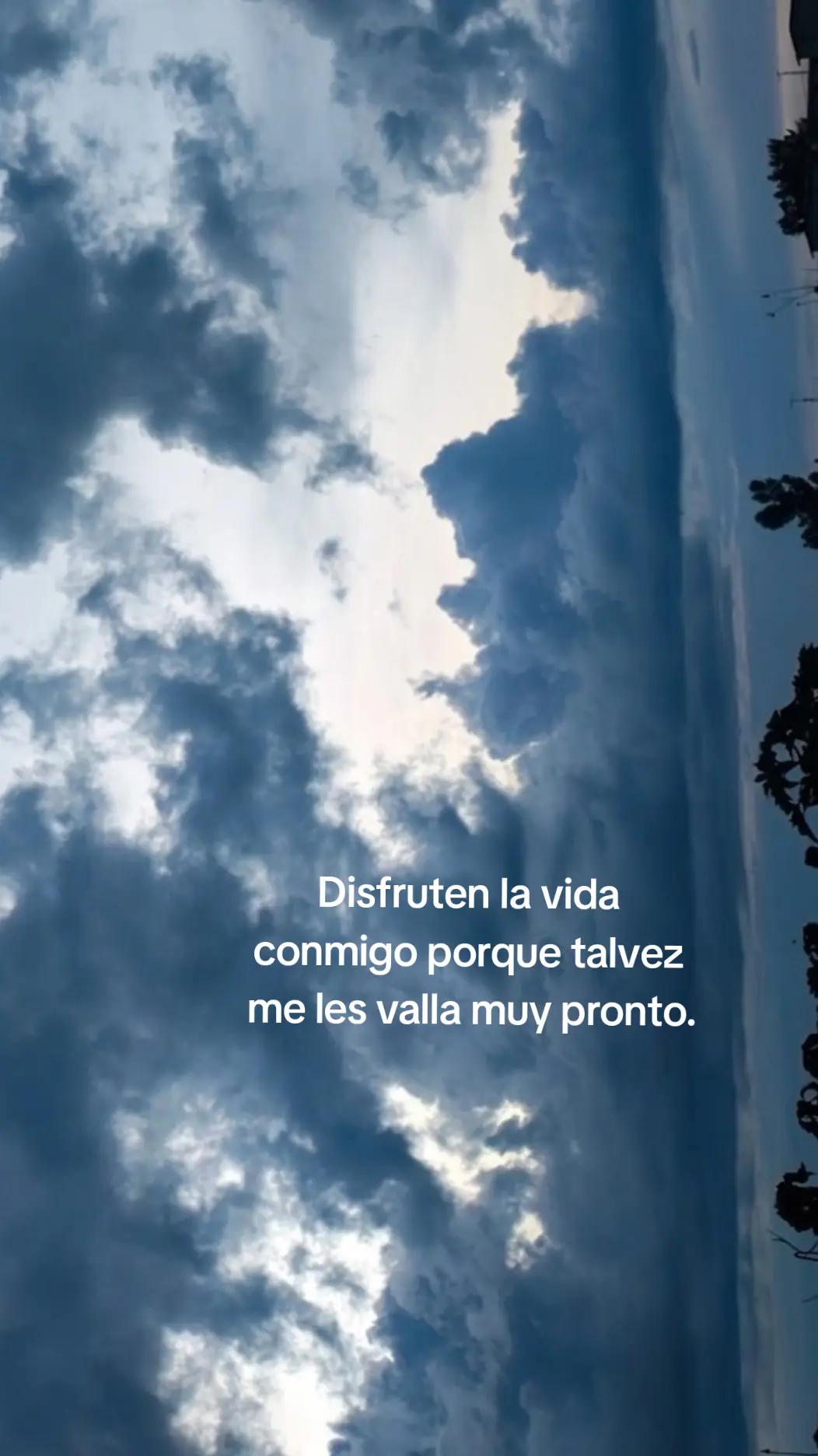 @Feeer