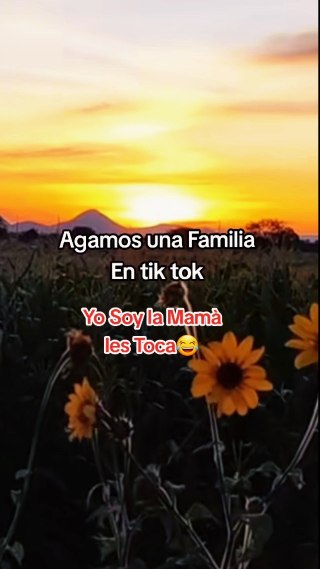 @Rosario 🇳🇮🇺🇸L&oacute;pez {}<>****
