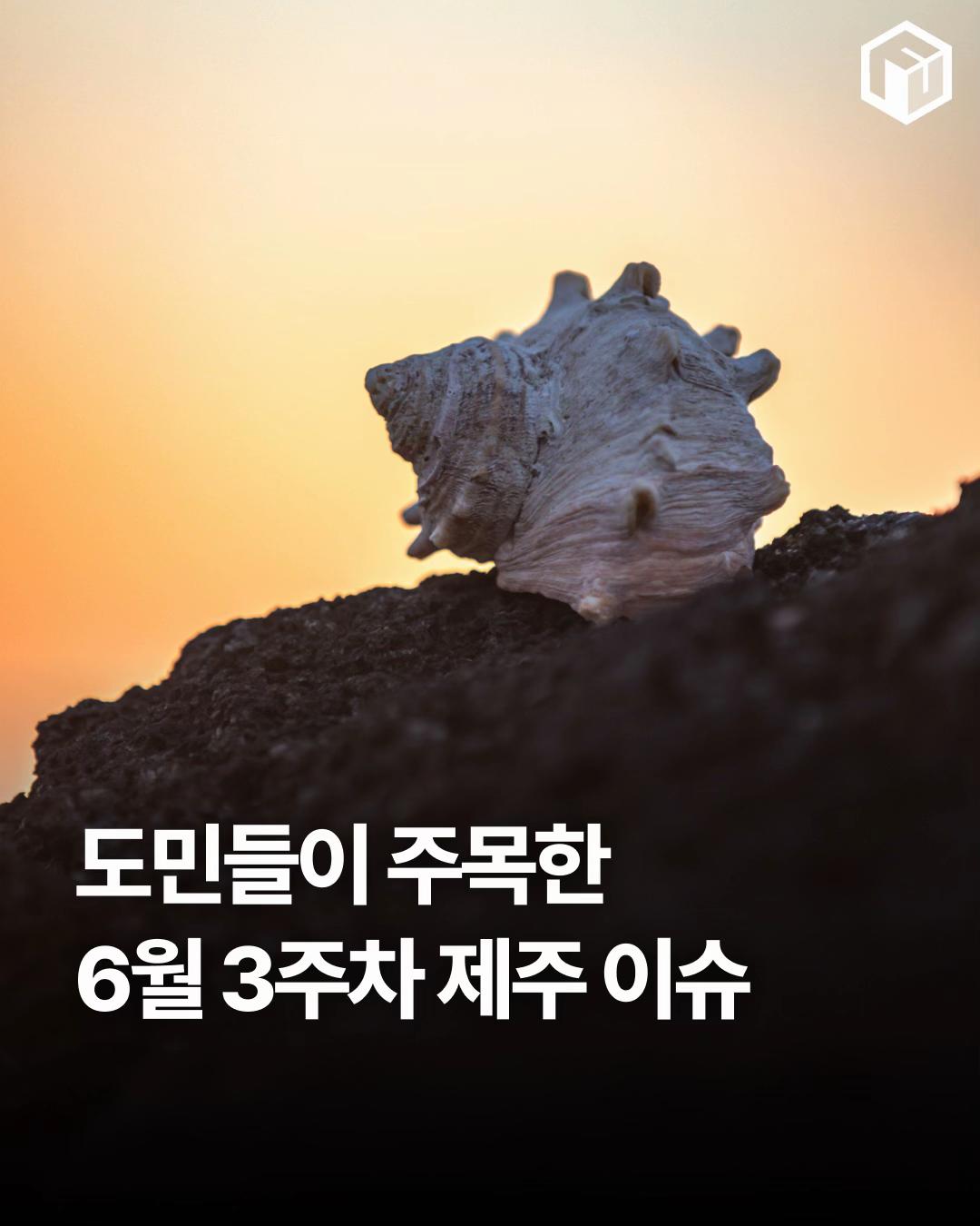 @제주톡톡