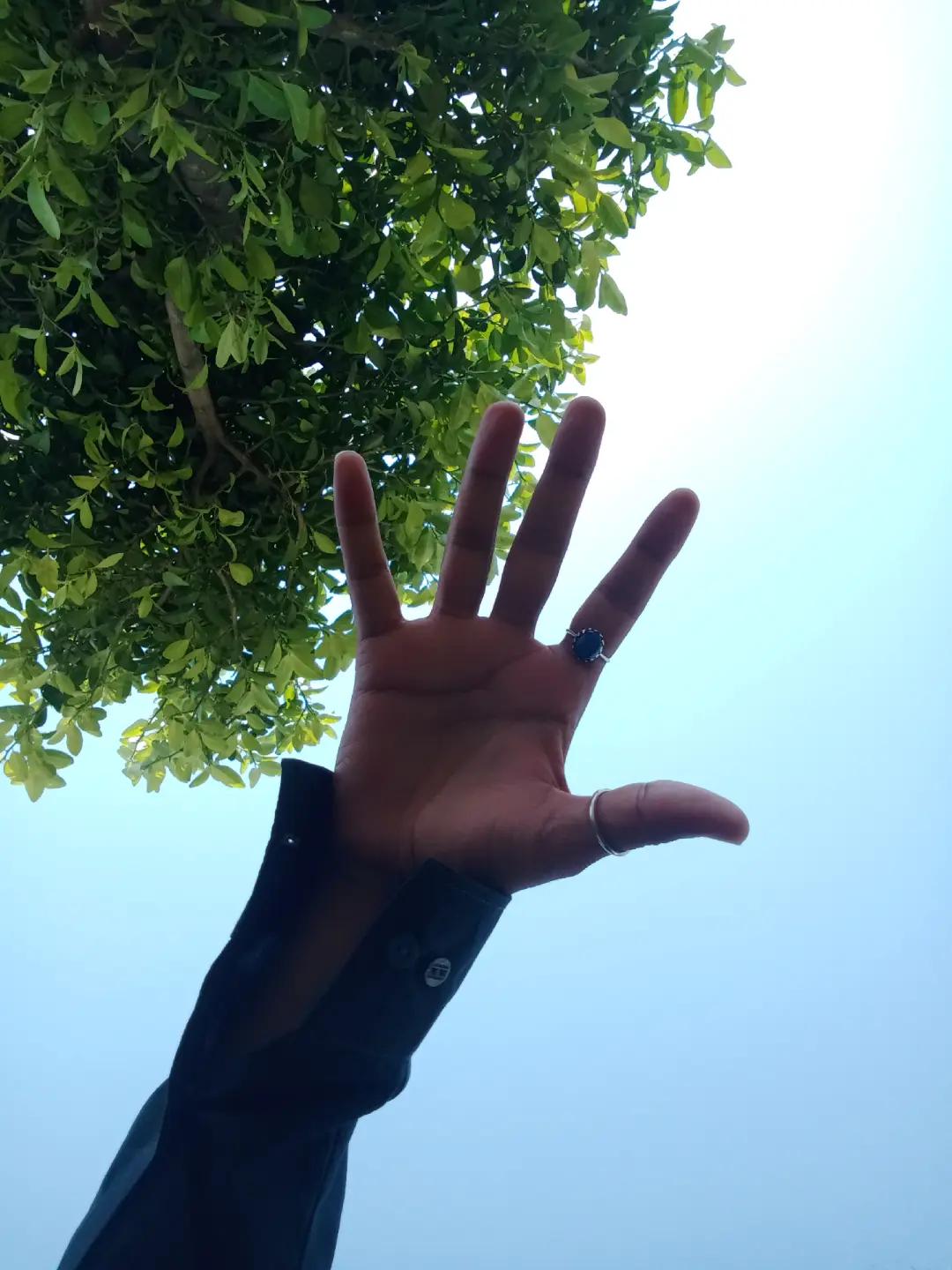 @Arshei
