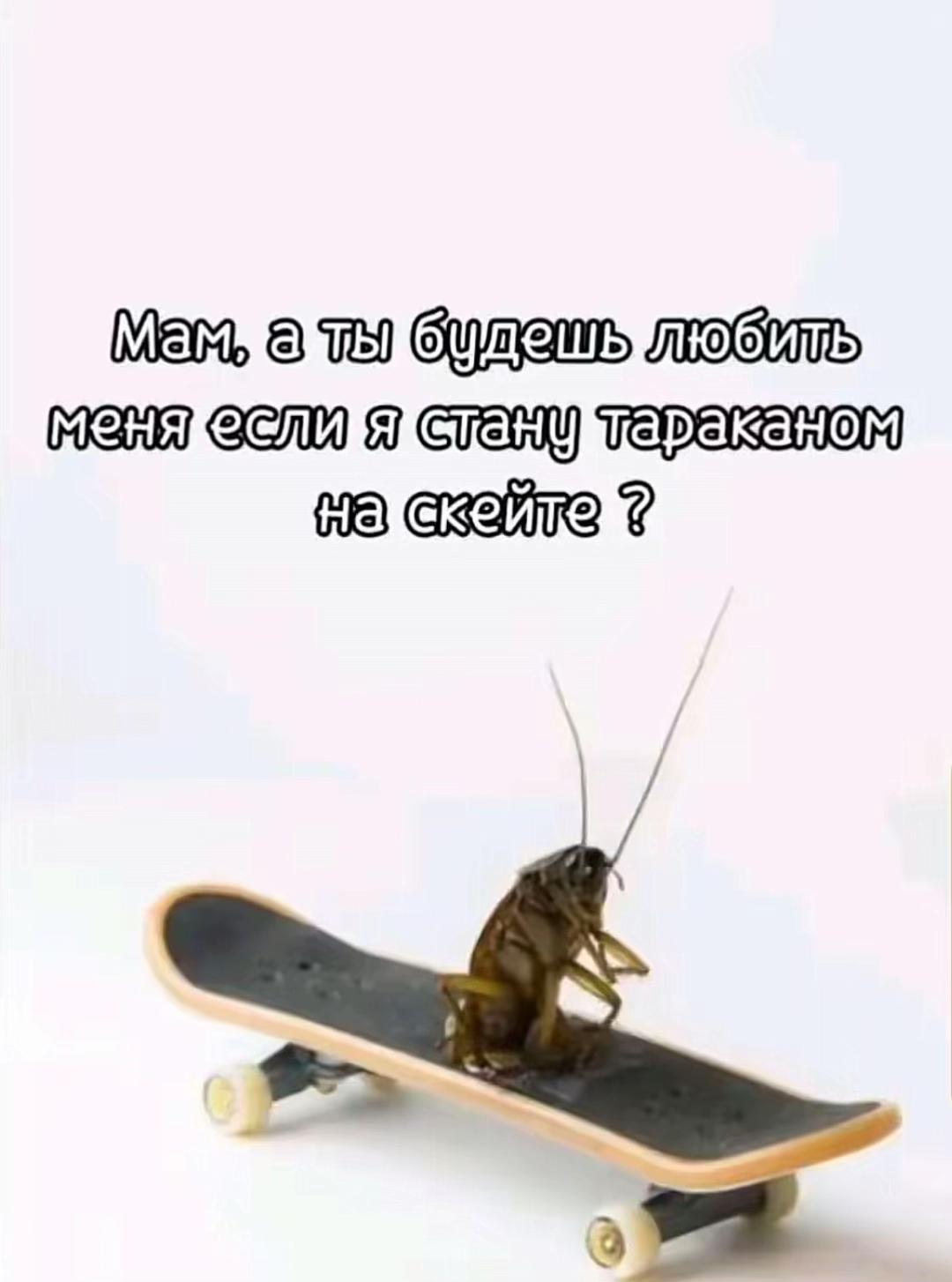 @monokova🪐
