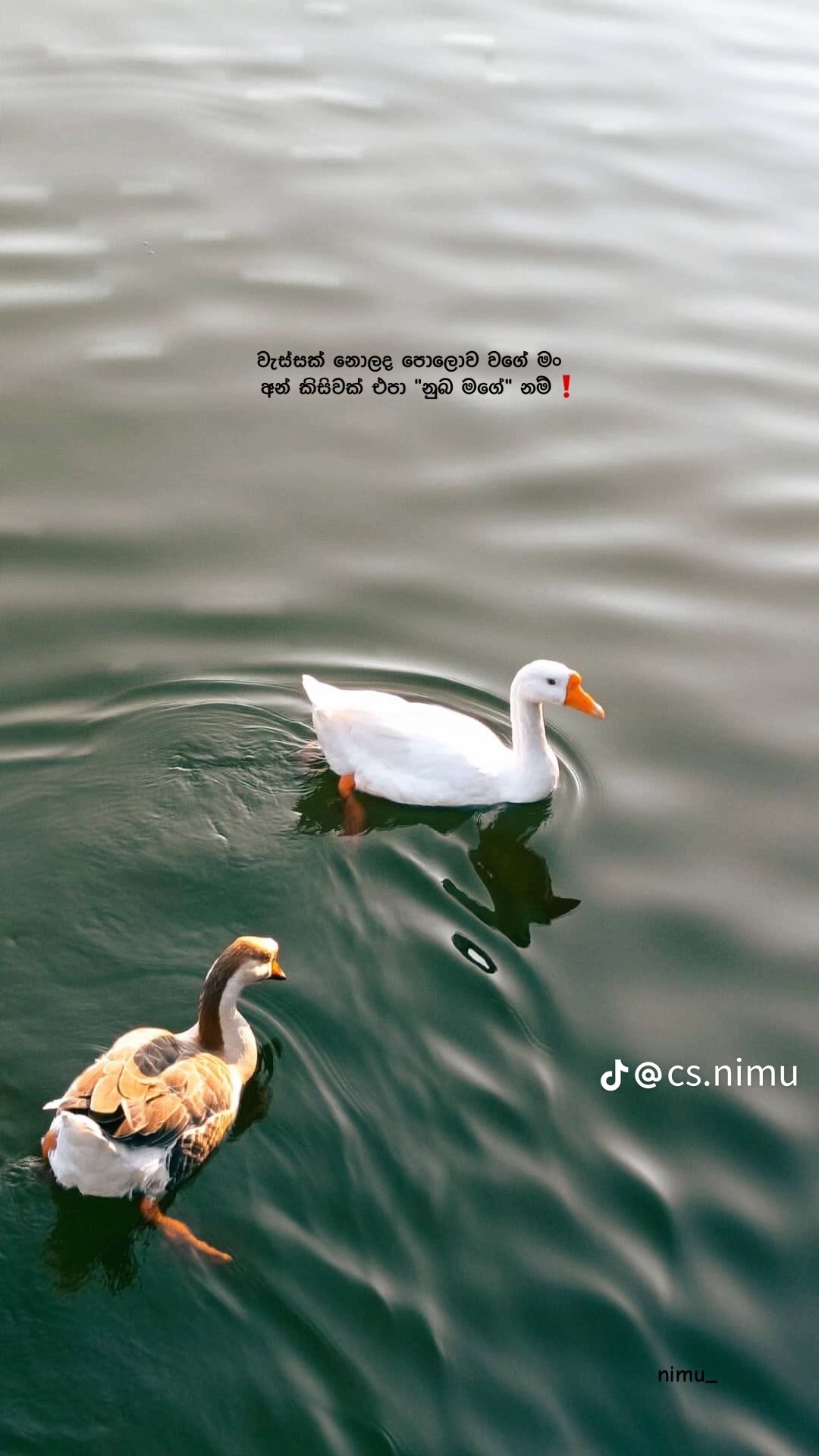 @:  𝓐𝓱𝓪 𝓩𝓲𝓲𝓲  🎀 !