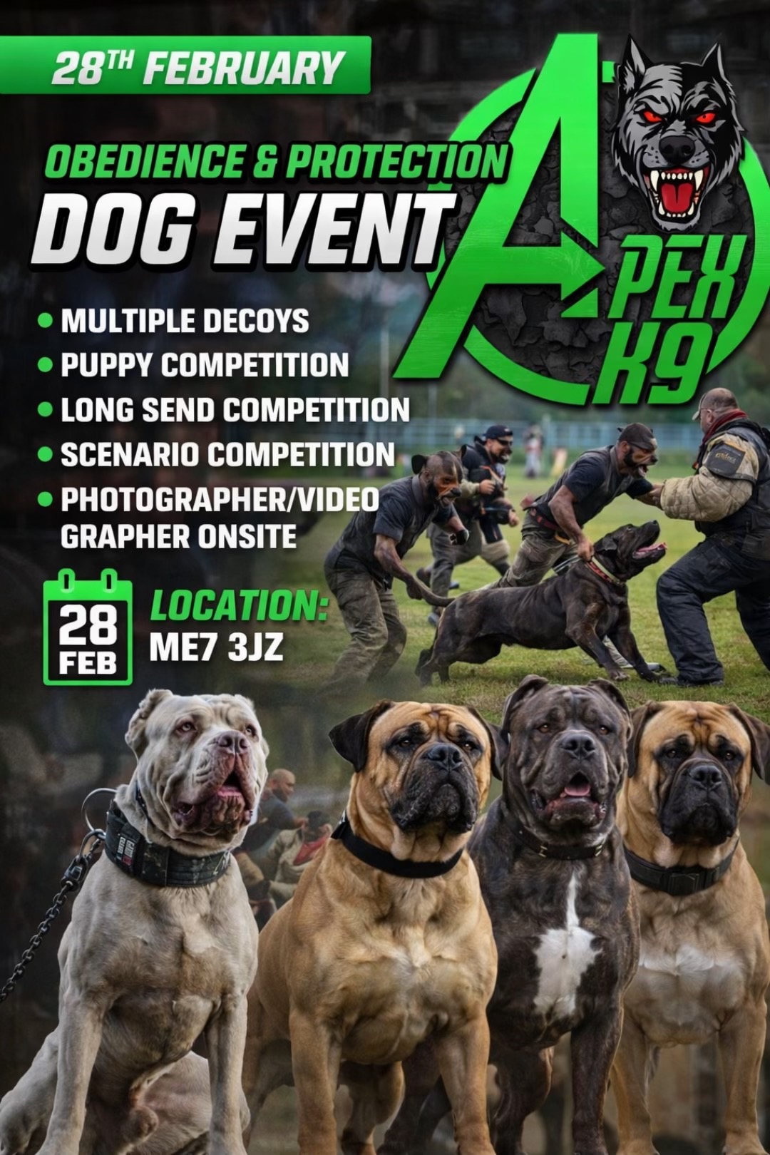 @Apex K9 Services Ltd