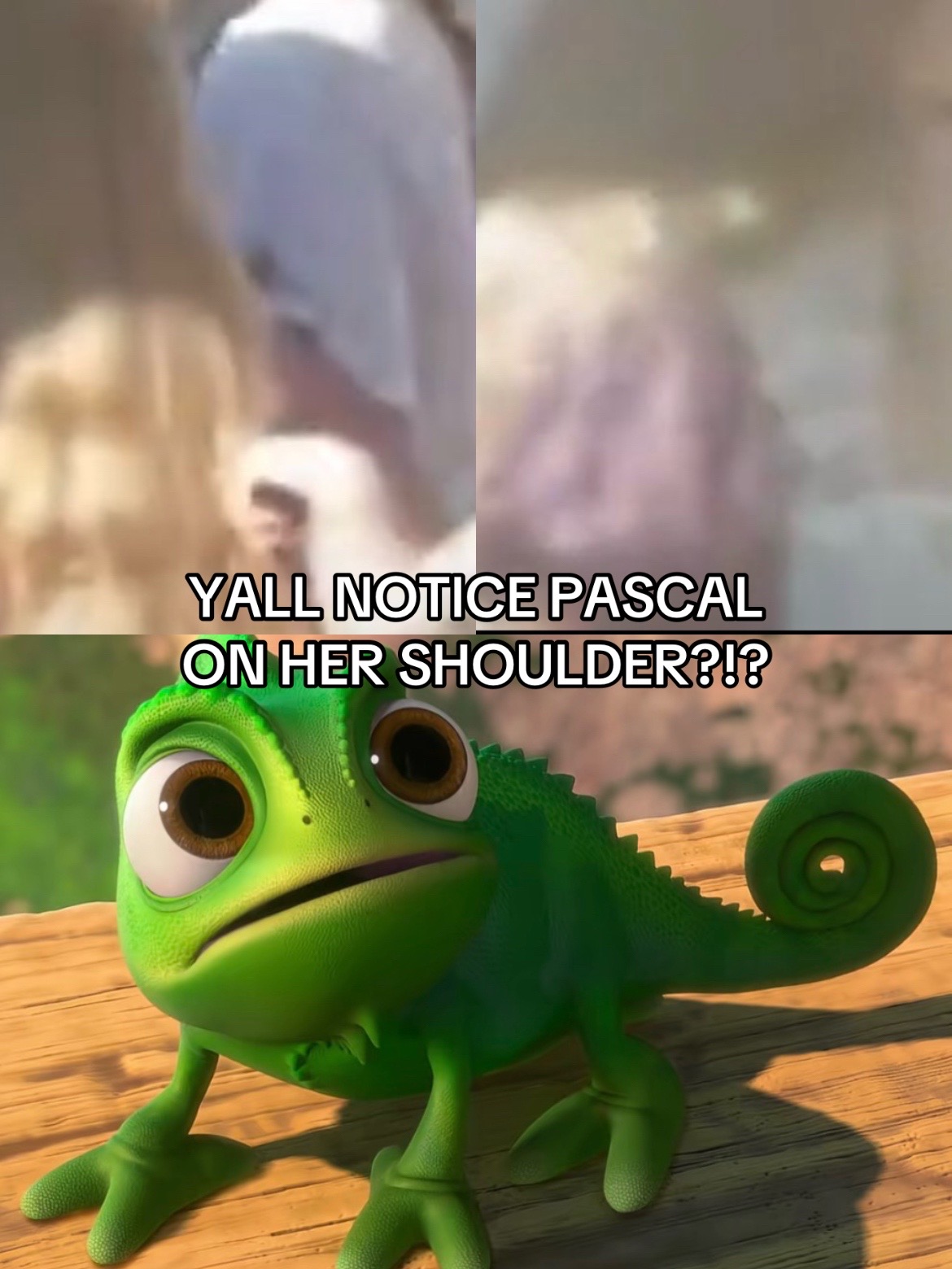 @clipzzaza6