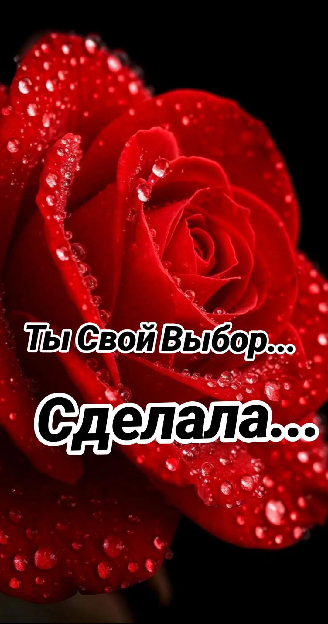 @Never Look Back