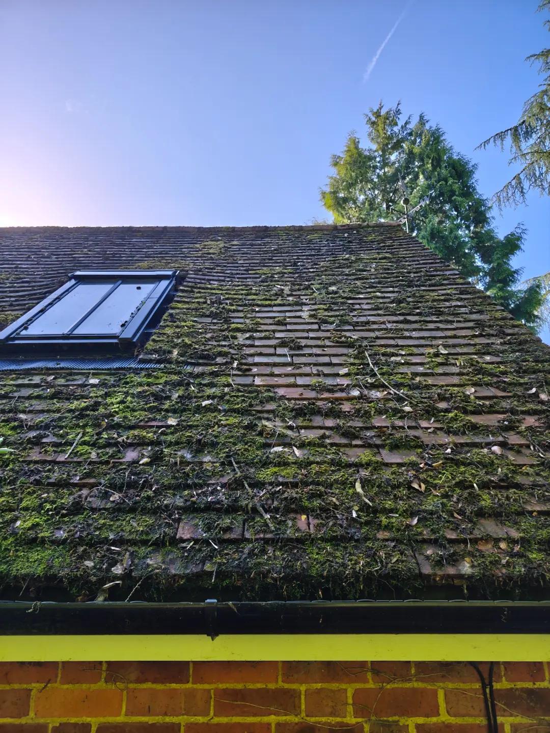 @Hadlow Exterior Cleaning