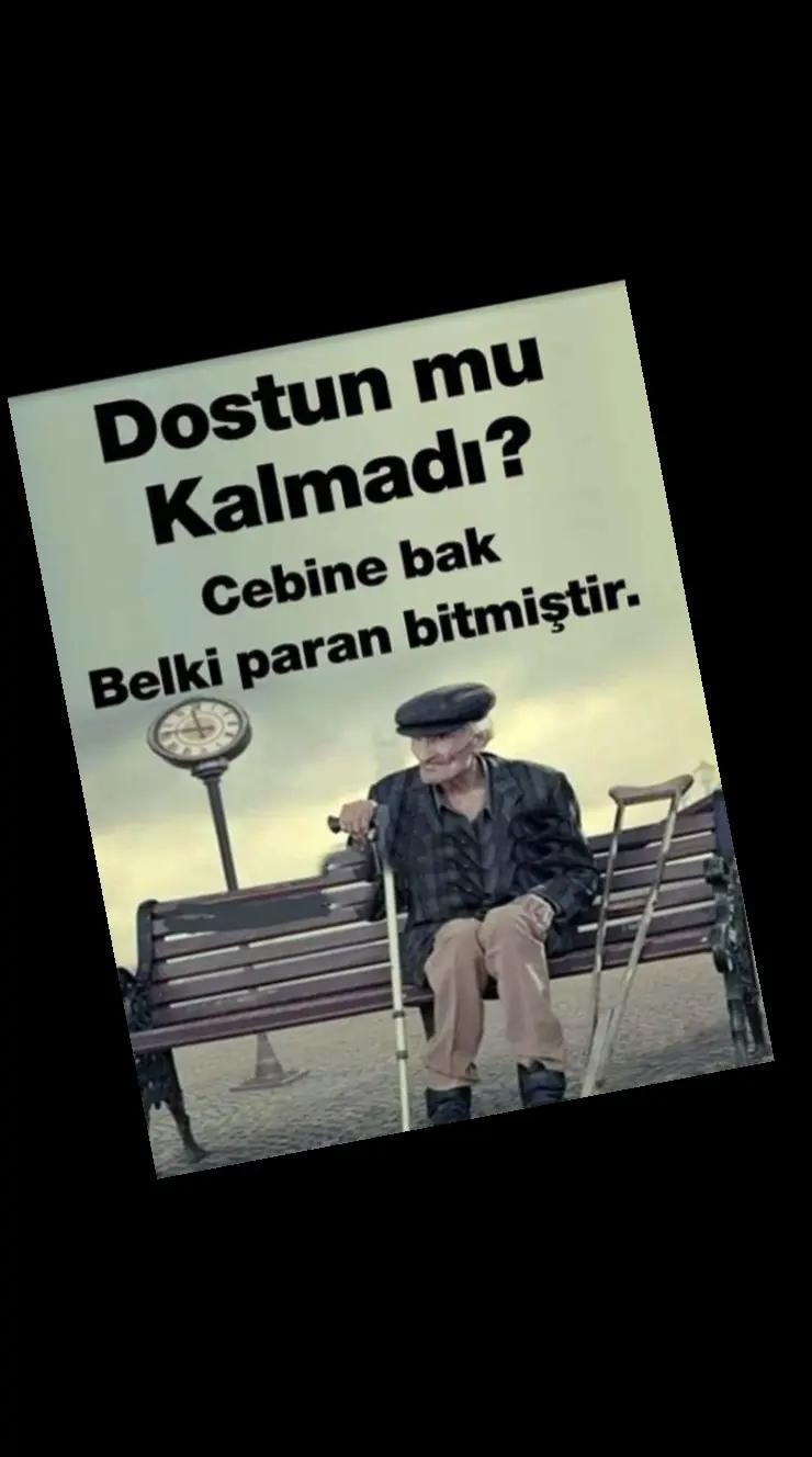 @papatya