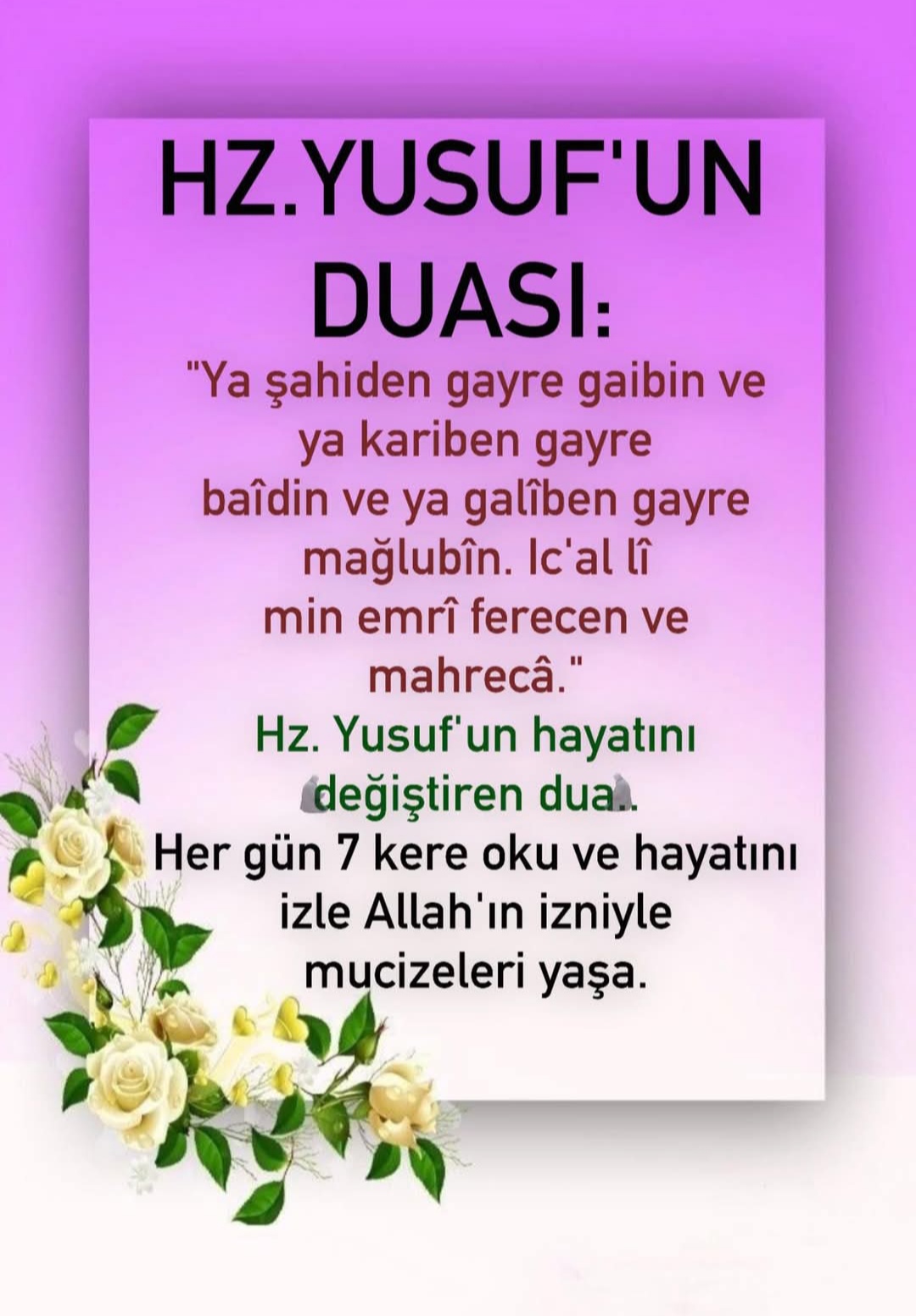 @URFALI...CABİR...KAYA