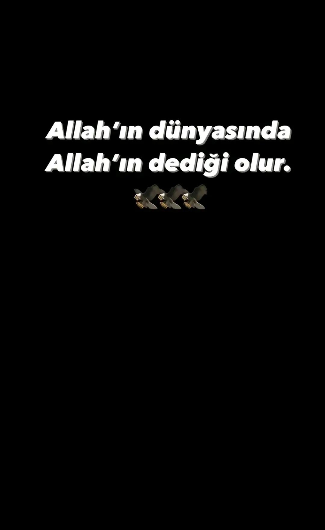 @Buğra Dursun👑