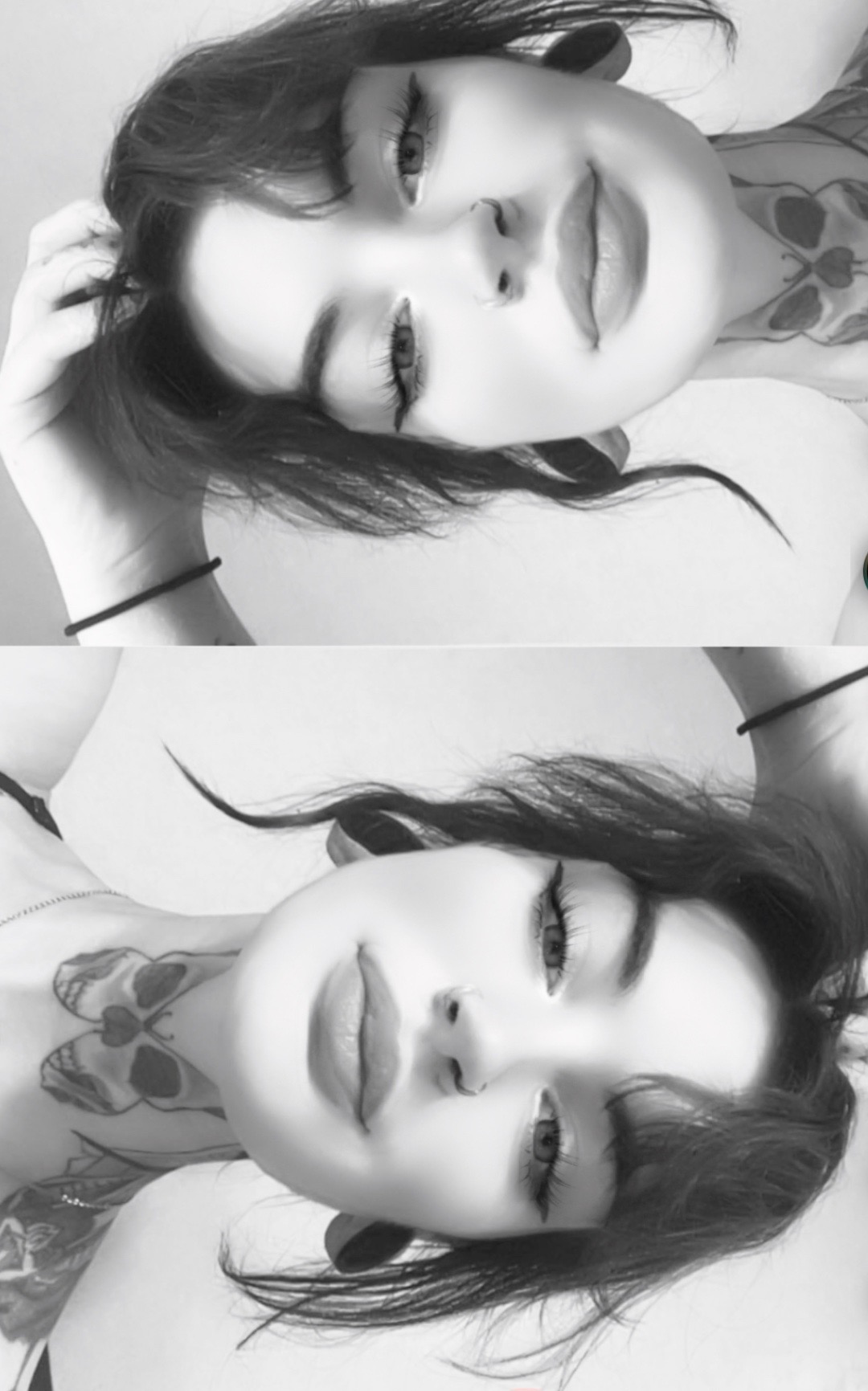 @🫥🦇Bats🦇🫥