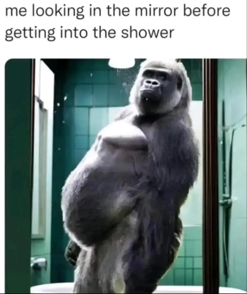 @murdab0t