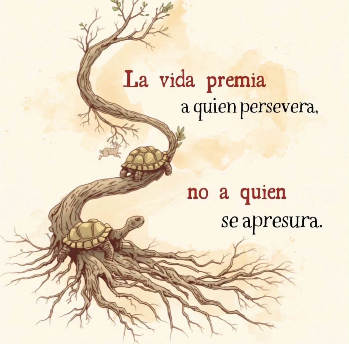 @Evelin 502.v🐟🍀🐢🐟🍀🇬🇹🇺🇸