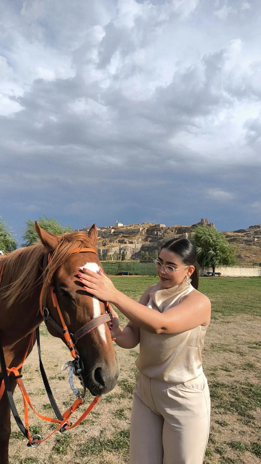 @Dicle✨